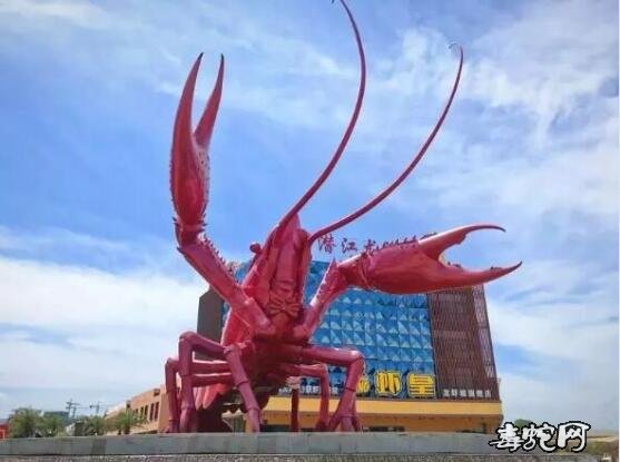 湖北潜江小龙虾复市?此次禁食野生动物不包括小龙虾!