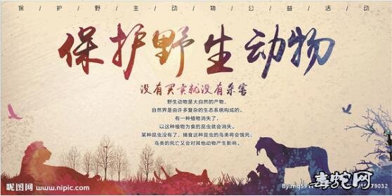 全面禁止非法野生动物交易！可食用动物白名单需要详细！