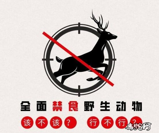 新规施行村干部要严查!保护野生动物、革除陋习是大事!