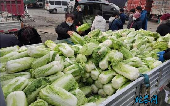 2020年2月27日白菜价格行情、今日白菜多少钱一斤?