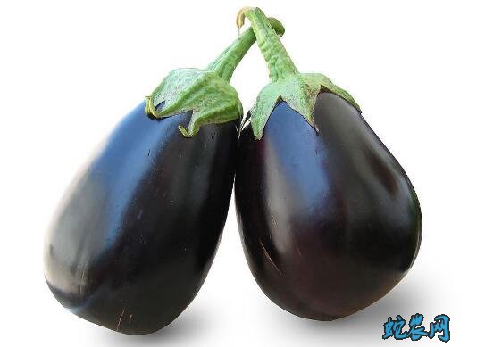 2020年2月27日茄子价格行情、今日茄子多少钱一斤?