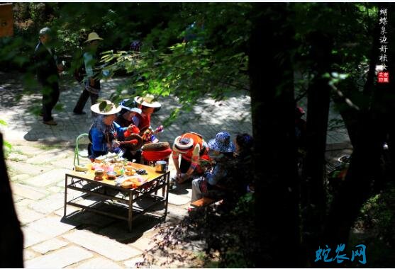 密云民俗文化-密云蝴蝶会介绍！