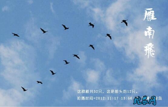 大雁什么时候往南飞?大雁几月份往南飞?