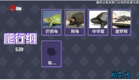 千亿产值龟鳖养殖业忙自救!“禁甲鱼”在龟鳖业界炸了锅!