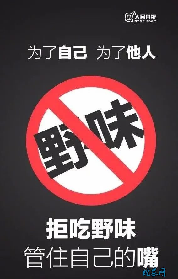 千亿产值龟鳖养殖业忙自救!“禁甲鱼”在龟鳖业界炸了锅!