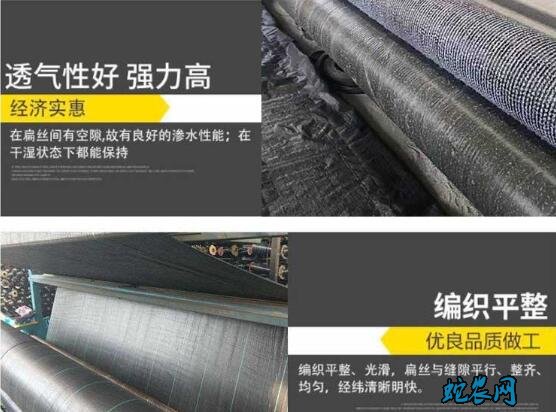 养鱼防渗膜、养鱼池防渗膜多少钱一平米?