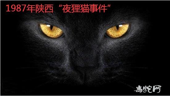 揭秘:1987年陕西“夜狸猫事件”!整个村庄人一夜消失!