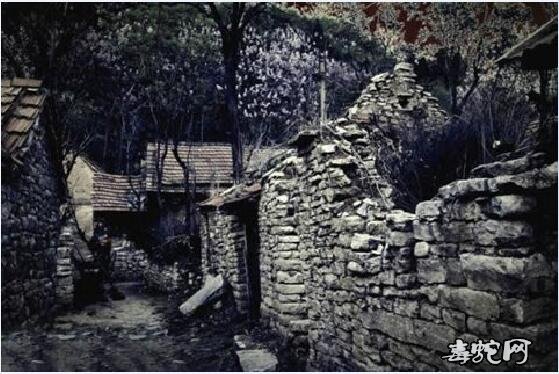 揭秘：1987年陕西“夜狸猫事件”！整个村庄人一夜消失！