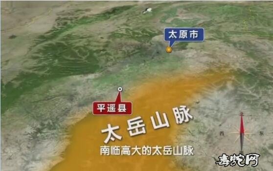 横坡村蛇灾:揭秘群蛇集体“自杀”之谜!