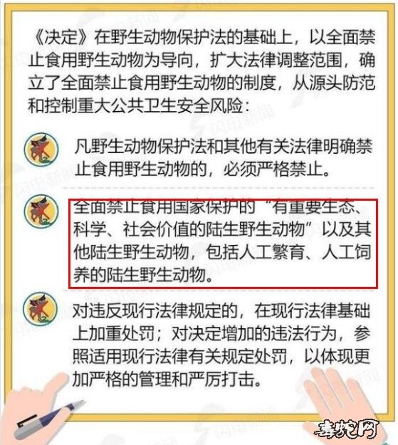 吃泥蛇违法吗？广州：每人2千-2万元以下罚款！