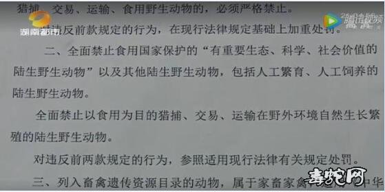 芒果都市记者采访林业局:以后口味蛇、姜辣蛇,都不能吃了吗?