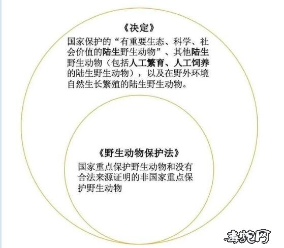 芒果都市记者采访林业局:以后口味蛇、姜辣蛇,都不能吃了吗?