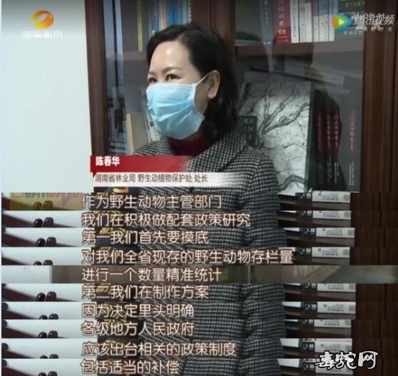 芒果都市记者采访林业局:以后口味蛇、姜辣蛇,都不能吃了吗?