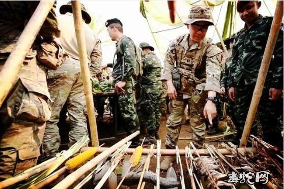 金色眼镜蛇2020军演正在泰国进行！敏感时刻美军还在热带丛林斩眼镜蛇头生饮蛇血！