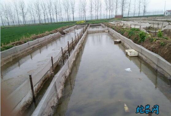 水蛭的养殖方法、水蛭普通常温养殖法!