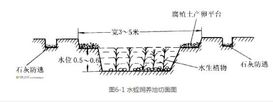 水蛭的养殖方法、水蛭普通常温养殖法!