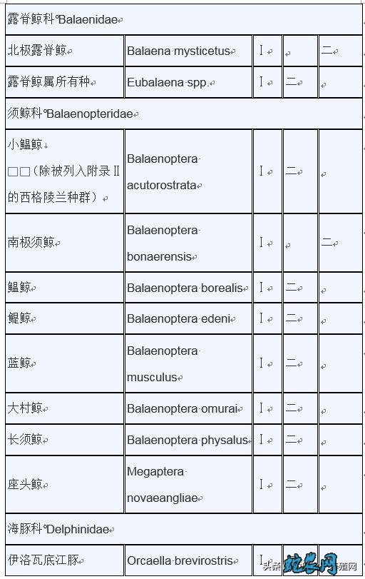 濒危野生动植物种国际贸易公约附录水生动物物种核准为国家重点保护野生动物名录: