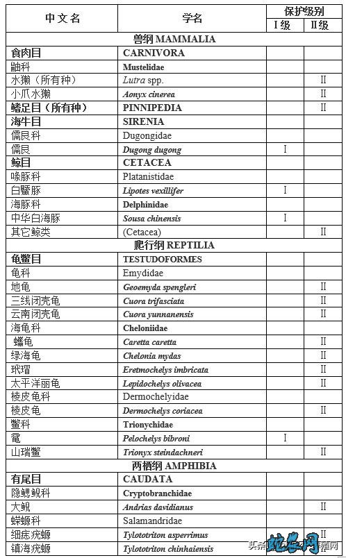 国家重点保护水生野生动物名录