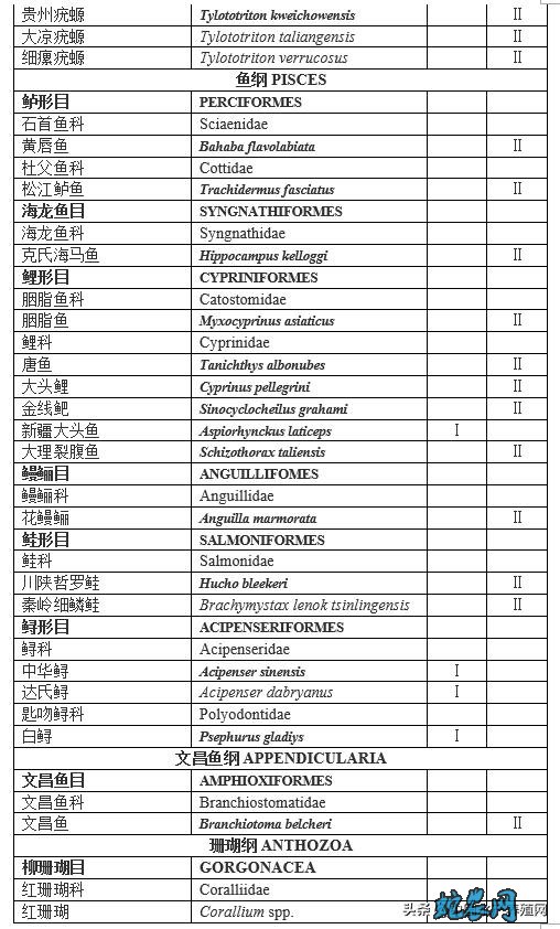 国家重点保护水生野生动物名录
