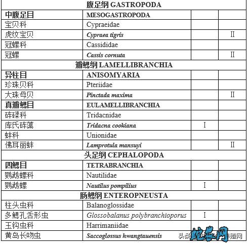 国家重点保护水生野生动物名录