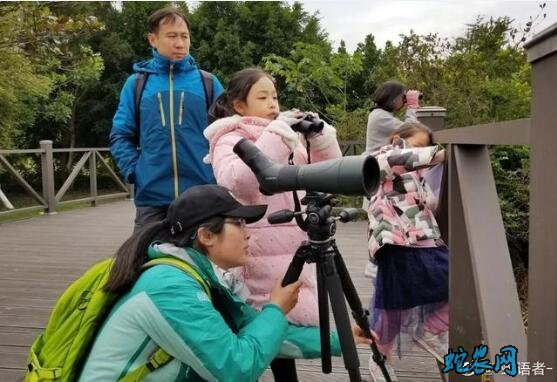 广东研究员呼吁应科学定义“野生动物”与“人工繁育动物”!