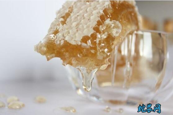 蜂巢蜜是什么蜜?蜂巢蜜的作用与功效有哪些?