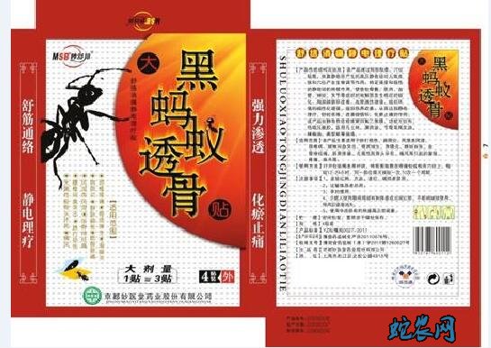 黑蚂蚁透骨贴