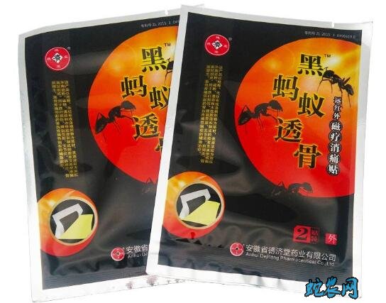 黑蚂蚁透骨贴