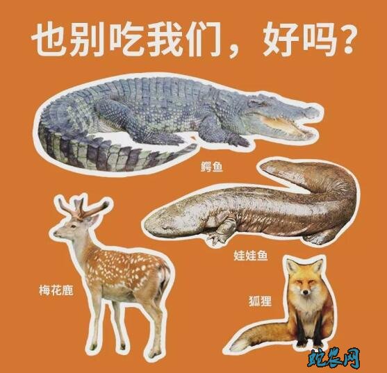 “禁野”农民拖不起却也急不得!精准定位很重要!