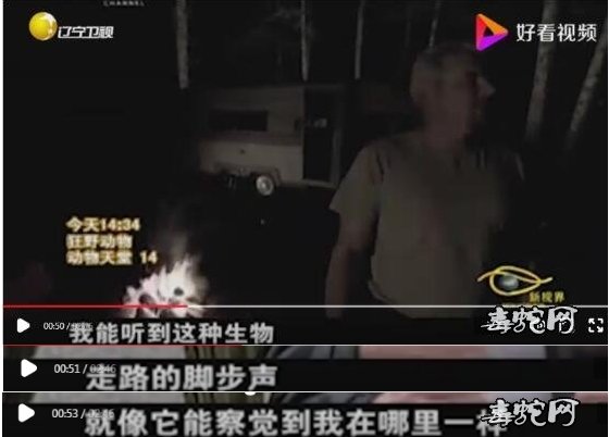 加拿大温哥华岛小岛“野人”事件!身高2.7米、体重足有360公斤!