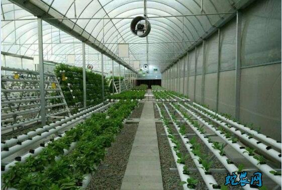 玻璃温室的保温原理、为什么大棚能够保温?