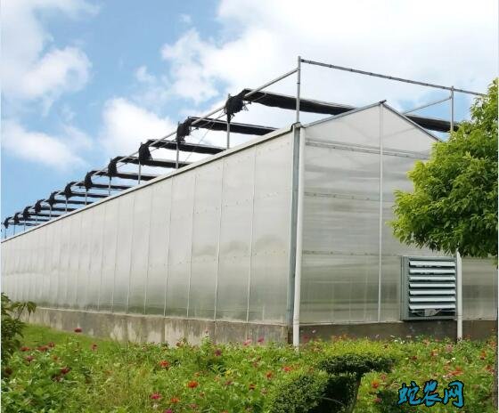 连栋温室大棚、连栋温室大棚怎么安装及注意事项?