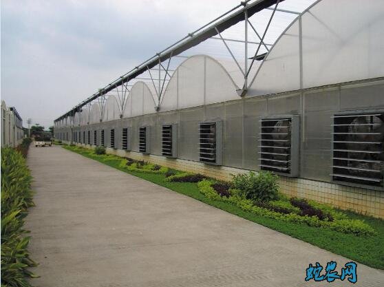 连栋温室大棚、连栋温室大棚怎么安装及注意事项?