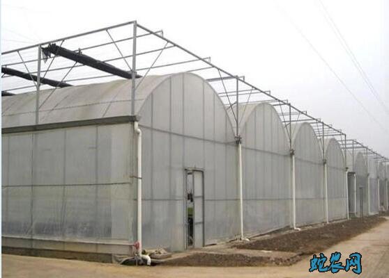 连栋温室大棚、连栋温室大棚怎么安装及注意事项?