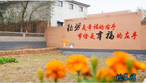 2020年农村人居环境整治50项举措来了解一下
