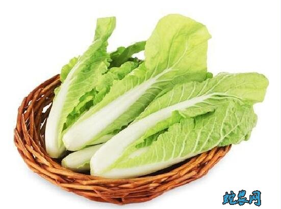 杭白菜图片