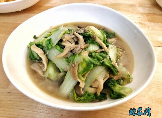 杭白菜图片