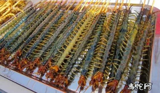 蜈蚣能吃吗?野生的蜈蚣能吃吗?