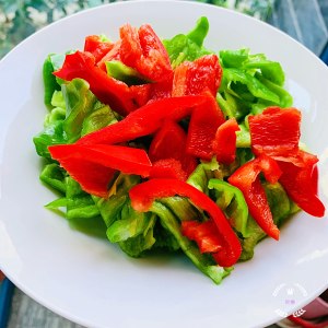 东北烧茄子做法步骤图2
