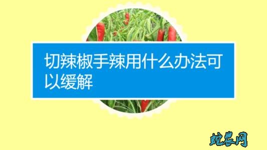 辣椒辣手最快解决办法