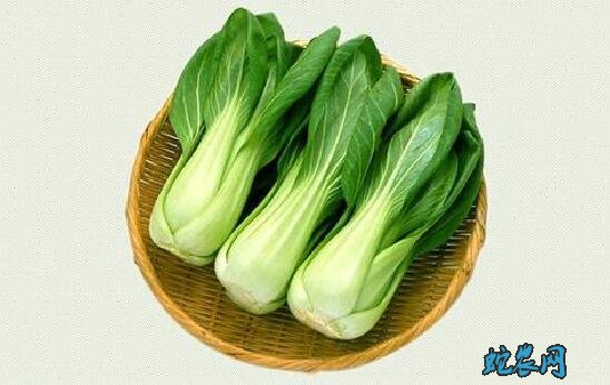 青菜都有什么种类?哪些菜叫青菜?
