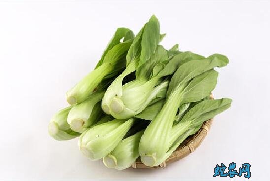 青菜都有什么种类?哪些菜叫青菜?