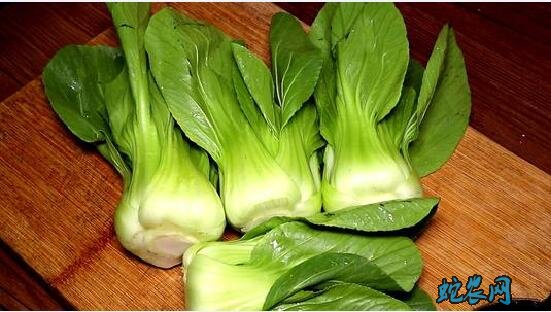 青菜都有哪些？上海青品种怎么样？