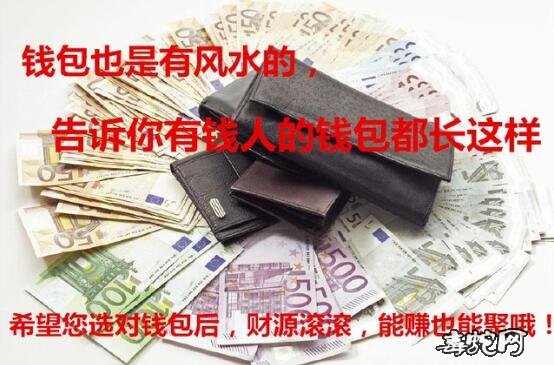 蛇皮钱包对运气好不好?蛇皮钱包会带来好运吗?