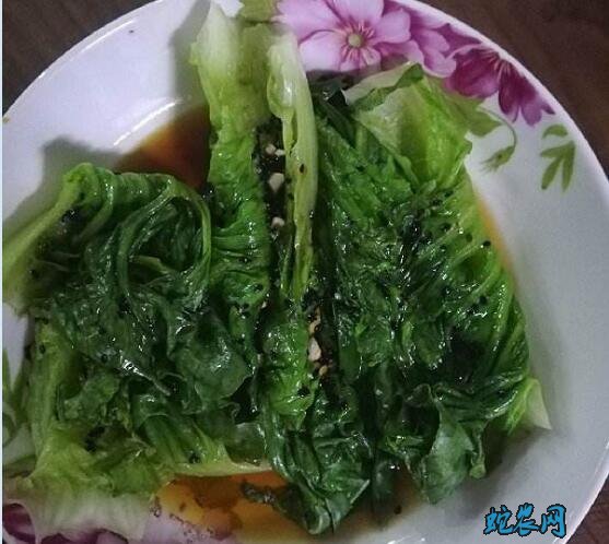 白灼生菜