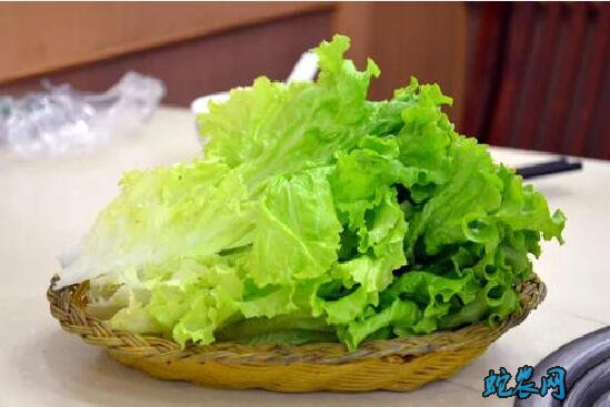 生菜热量