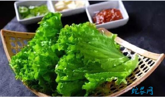 生菜热量