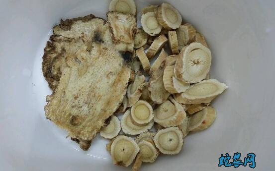 黄芪当归祛斑方