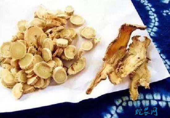 黄芪当归祛斑方