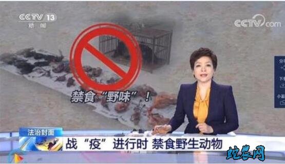 “禁野”任重道远,制度建设亟待跟上!